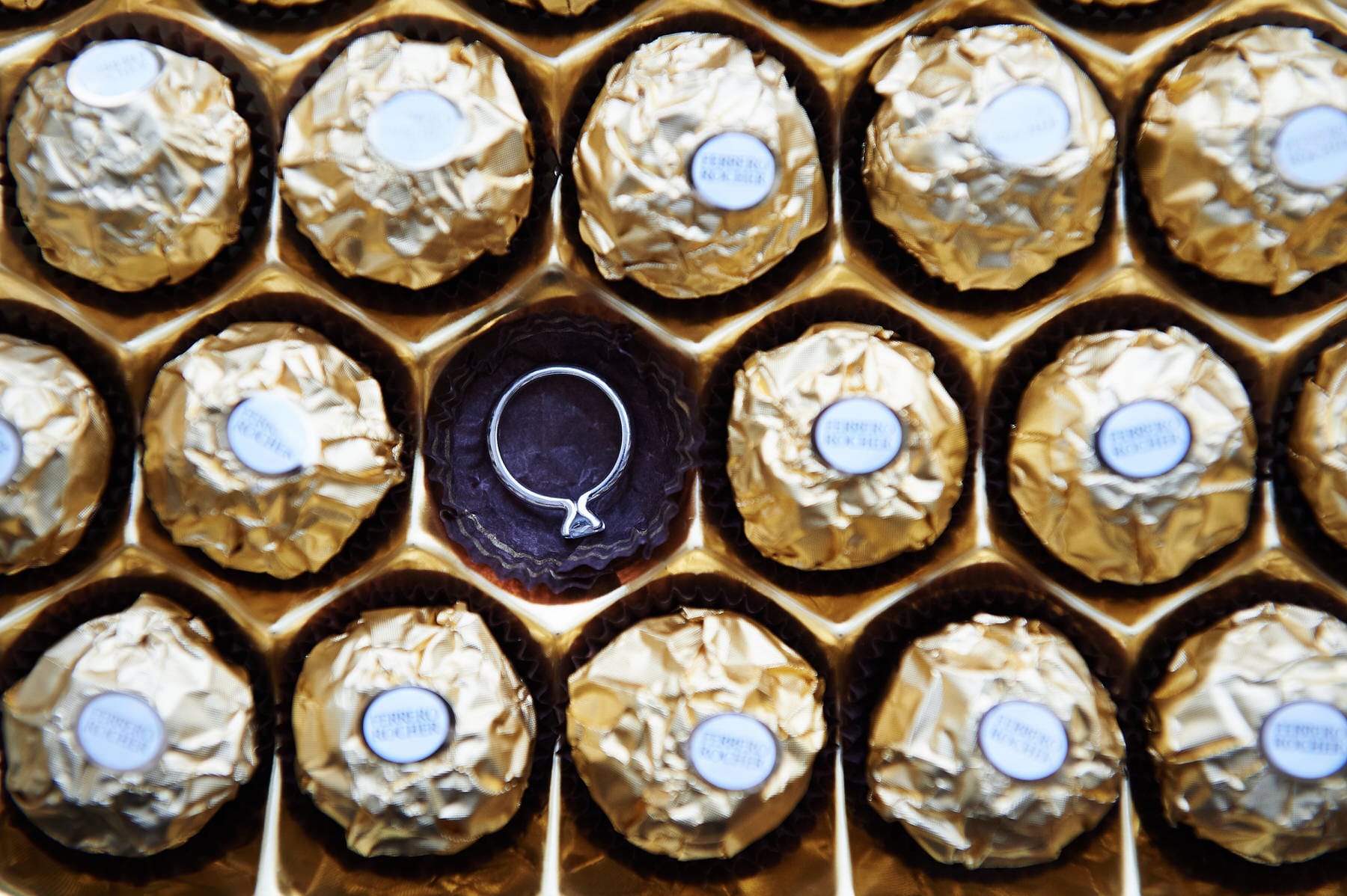 bearded camera portfolio 044