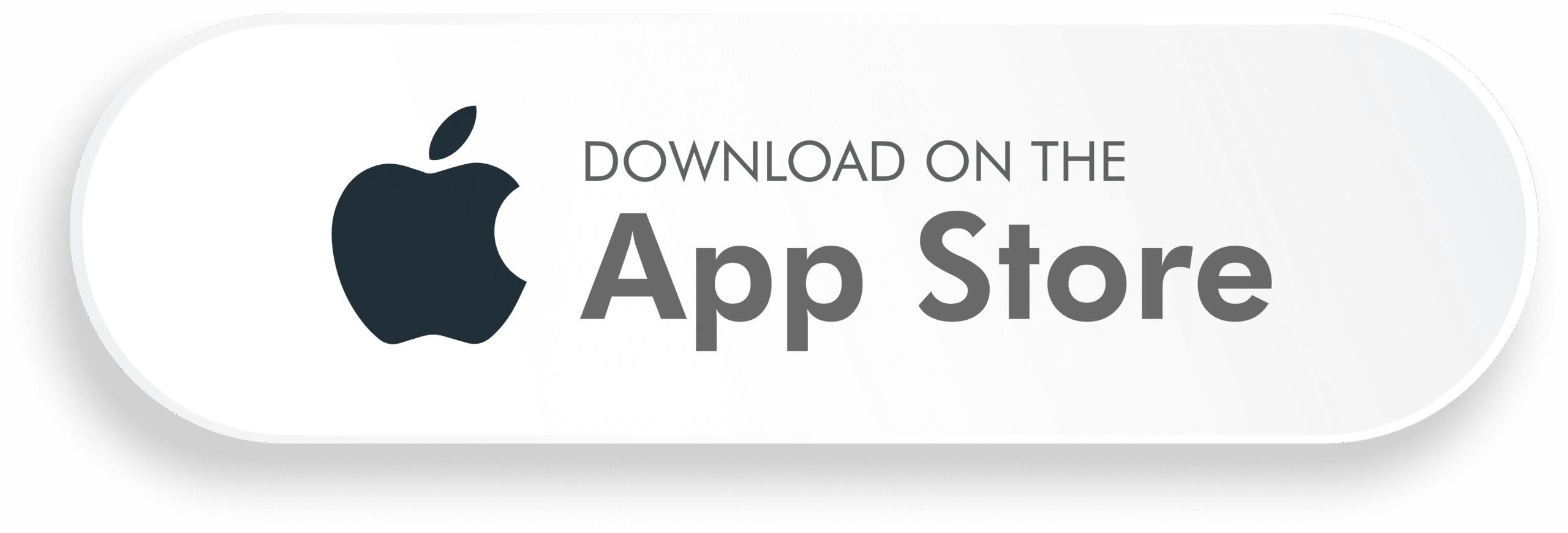 beardedcamera app store scaled
