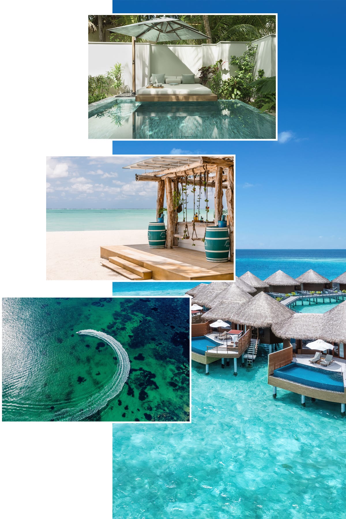 Trusted suppliers 5 beardedcamera wedding suppliers bachus